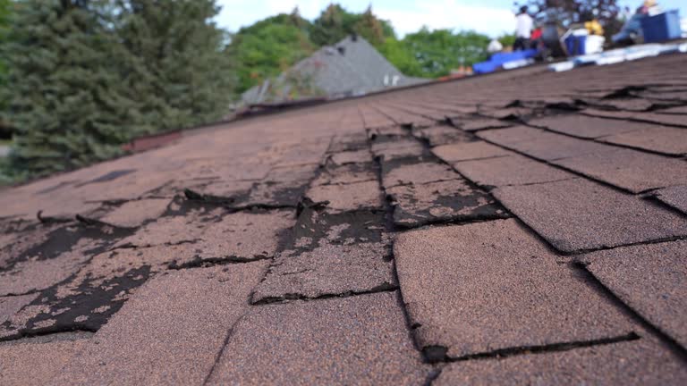 Best Sheet Metal Roofing  in Eaton Rapids, MI