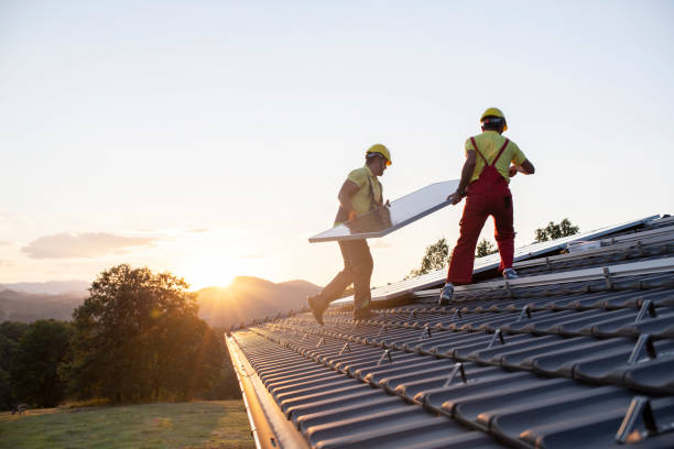 Best Steel Roofing  in Eaton Rapids, MI