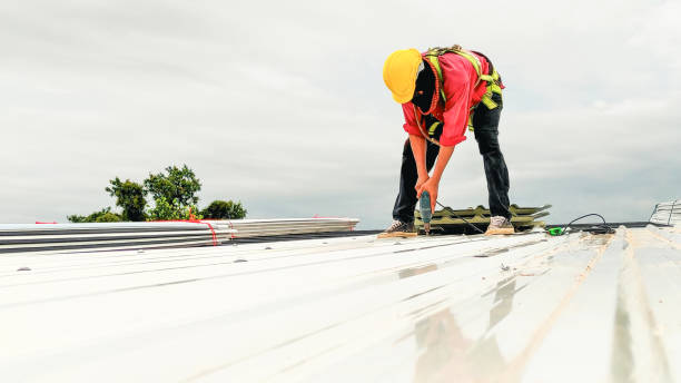 Best Roof Maintenance and Cleaning  in Eaton Rapids, MI