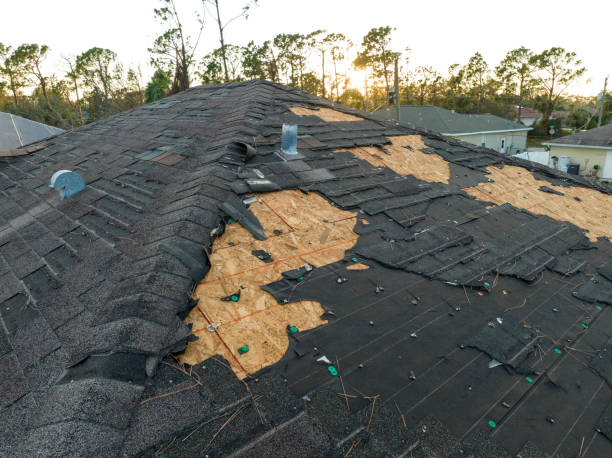 Best Roof Moss and Algae Removal  in Eaton Rapids, MI