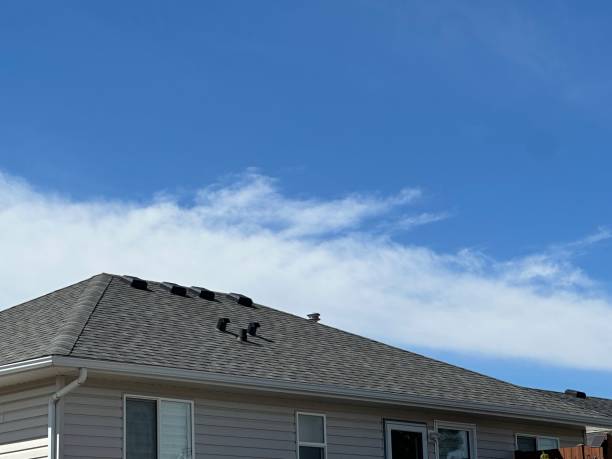 Best Wood Shake Roofing  in Eaton Rapids, MI