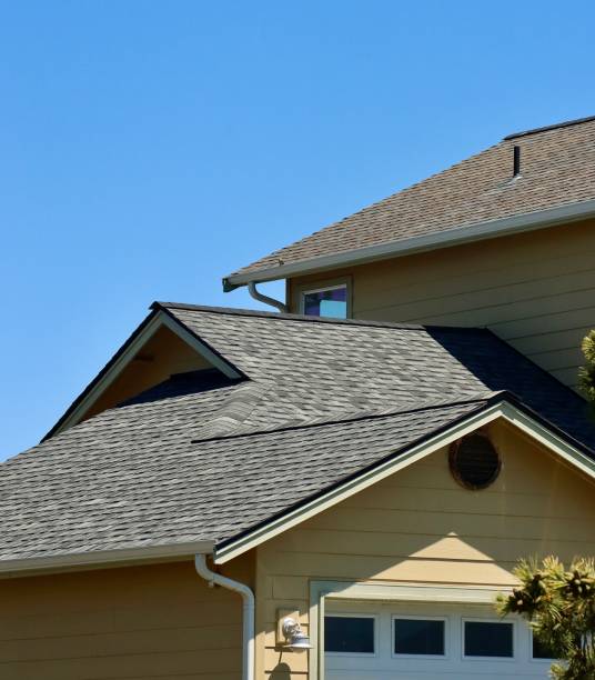 Best Asphalt Shingle Roofing  in Eaton Rapids, MI